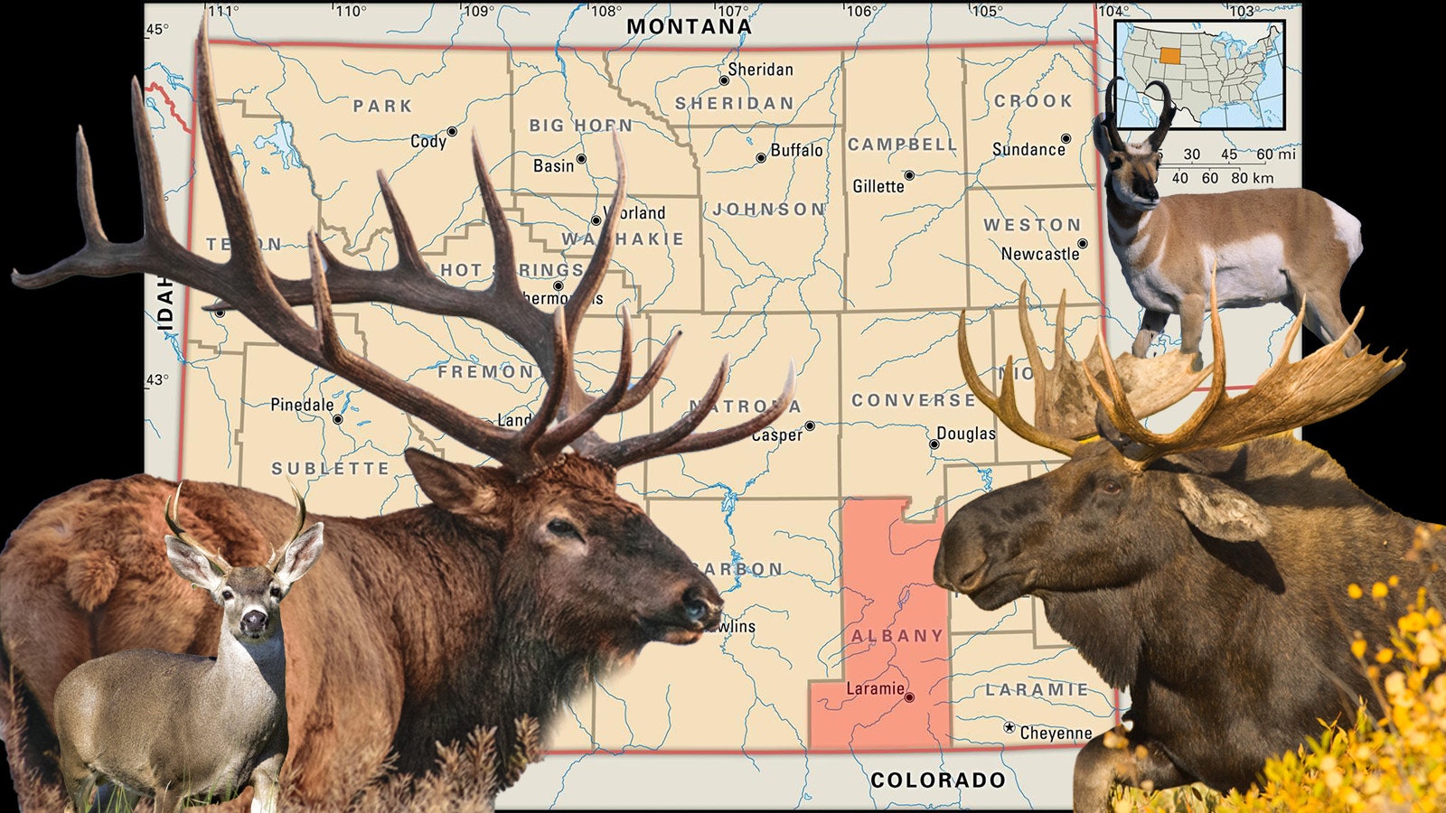 Hunting Albany County 10 3 23