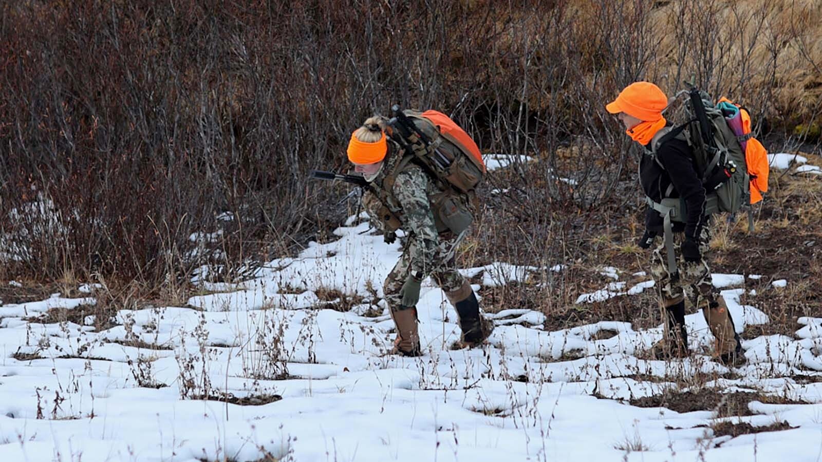 Experienced hunters say that a willingness to hike long distances is one of the keys to success when hunting on crowded public land.