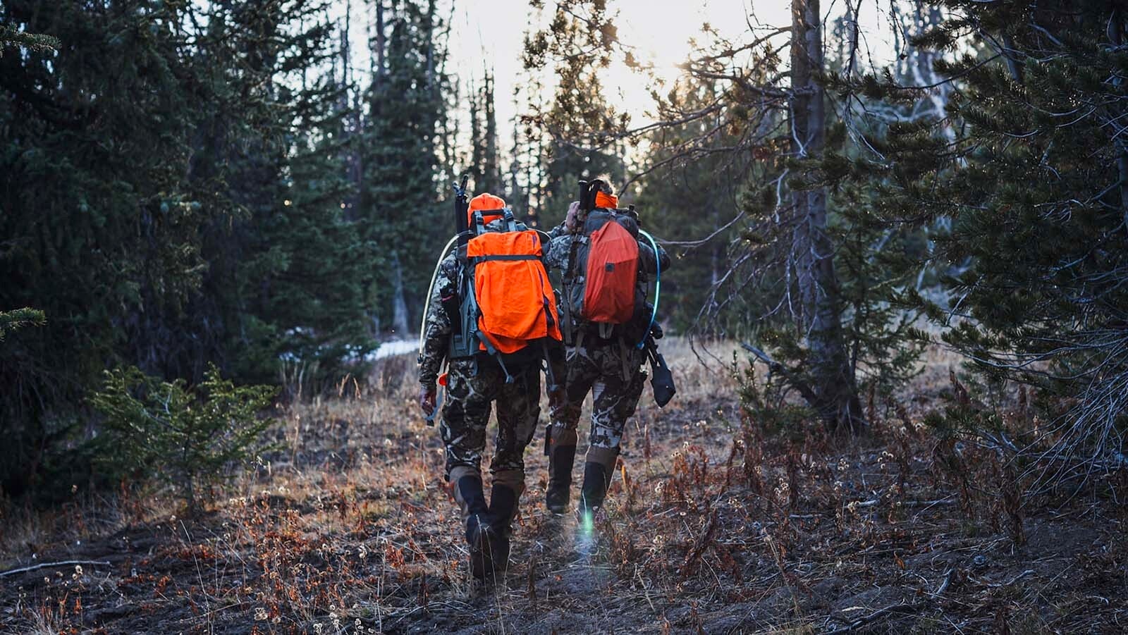 Experienced hunters say that a willingness to hike long distances is one of the keys to success when hunting on crowded public land.