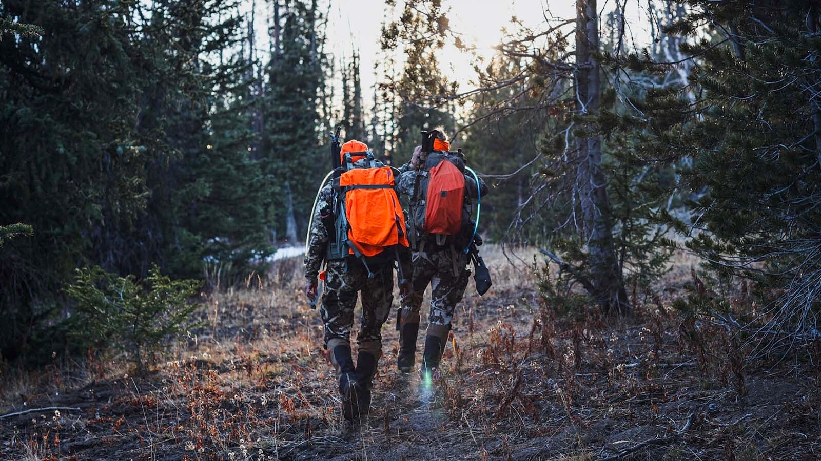 Experienced hunters say that a willingness to hike long distances is one of the keys to success when hunting on crowded public land.