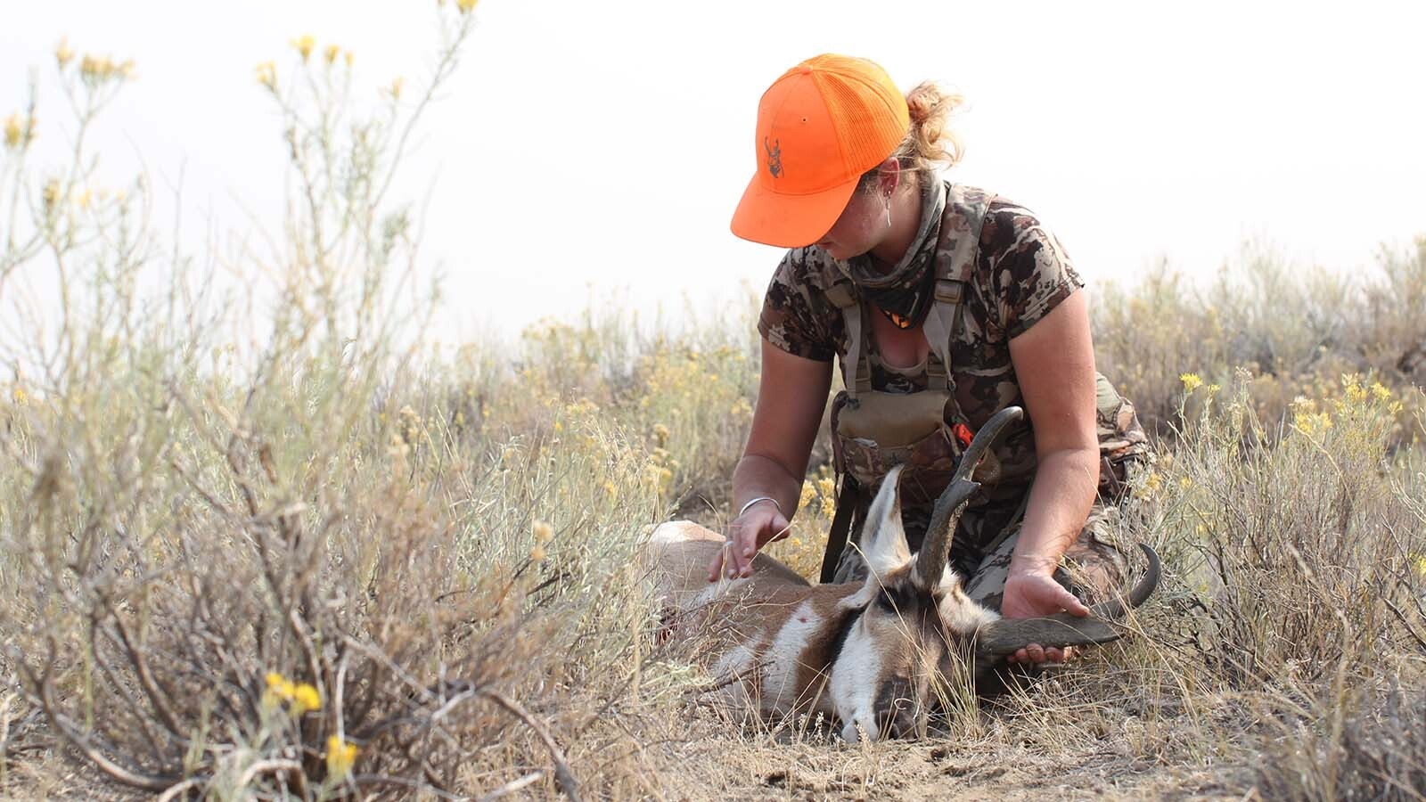 Even on crowded public land, pronghorn bucks and other game animals are there, for those willing to put in the work.