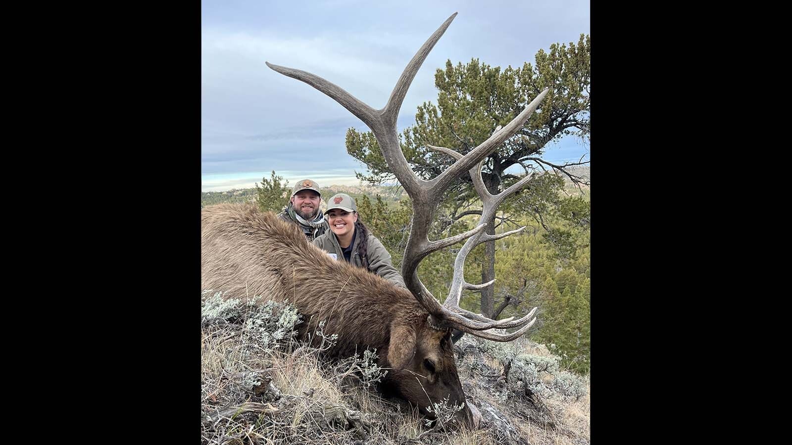 Elk remain the most plentiful big game species in Wyoming, and numerous hunting tags are still available for them.