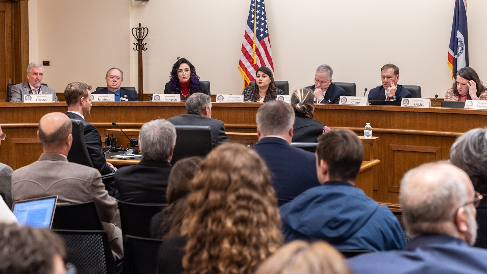 The House Judiciary Committee hears testimony about Senate File 99, legislation formerly known as Chloe's Law.