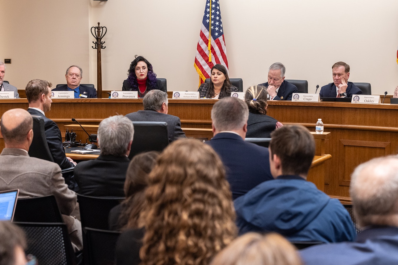 The House Judiciary Committee hears testimony about Senate File 99, legislation formerly known as Chloe's Law.