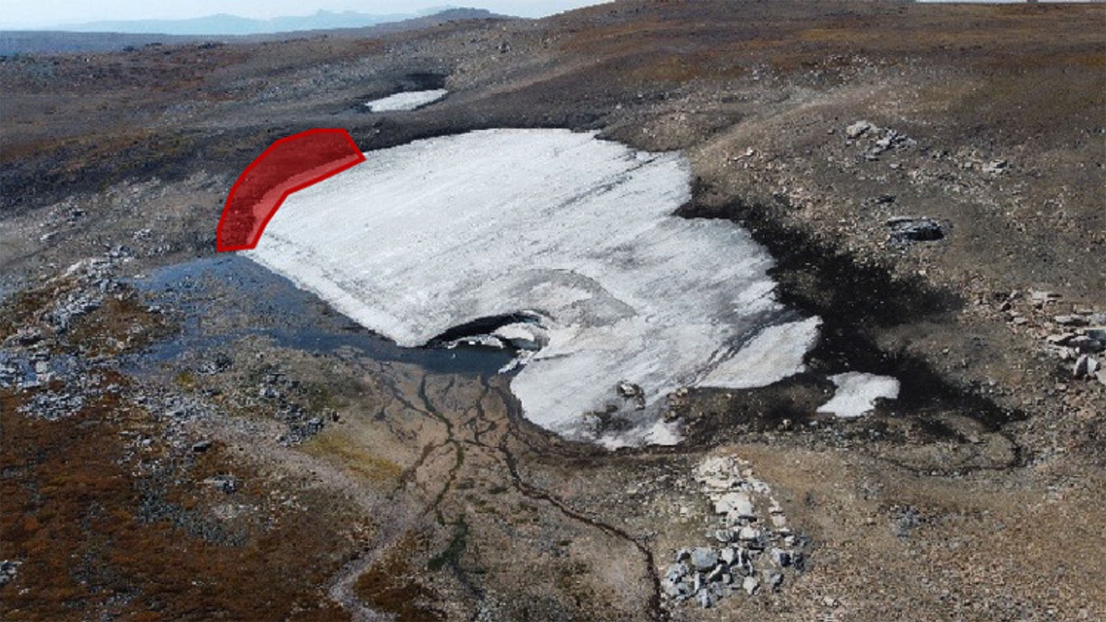 Aerial image showing the ice patch and ice-patch margin where the whitebark pine trees were sampled (red polygon).