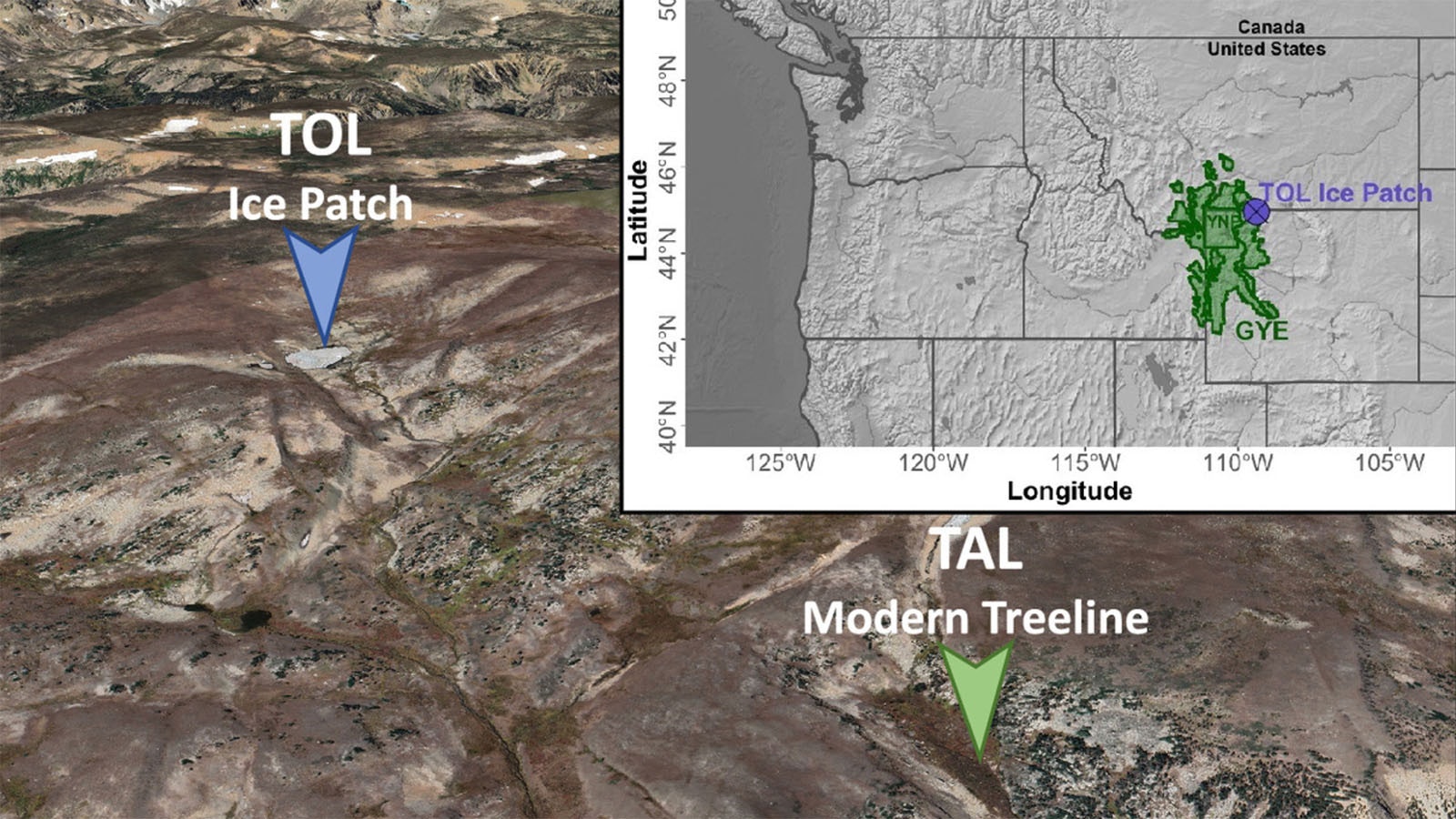 Location of the ice patch (TOL) with the mid-Holocene whitebark pine stand relative to the modern treeline site (TAL). The map inset shows the approximate location of the study site (purple circle) within the Greater Yellowstone Ecosystem.