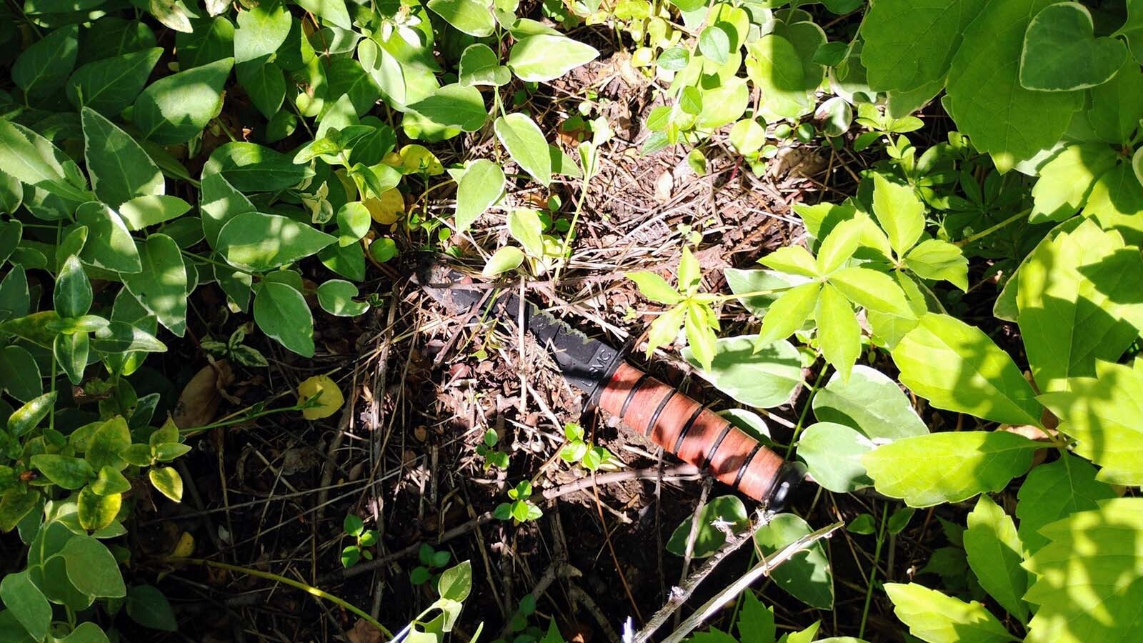 Jason Jensen illustrates what a Ka-Bar knife might look like hidden in foliage along the highways.