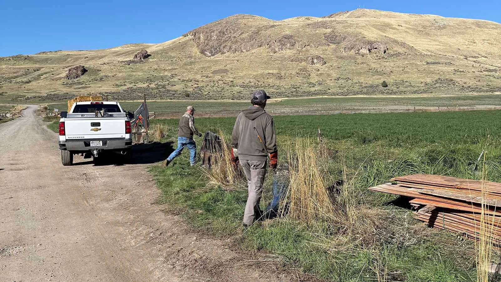 People search the Hobbs family farm in Franklin, Idaho, for 1,500 mink after the animals were released Saturday.