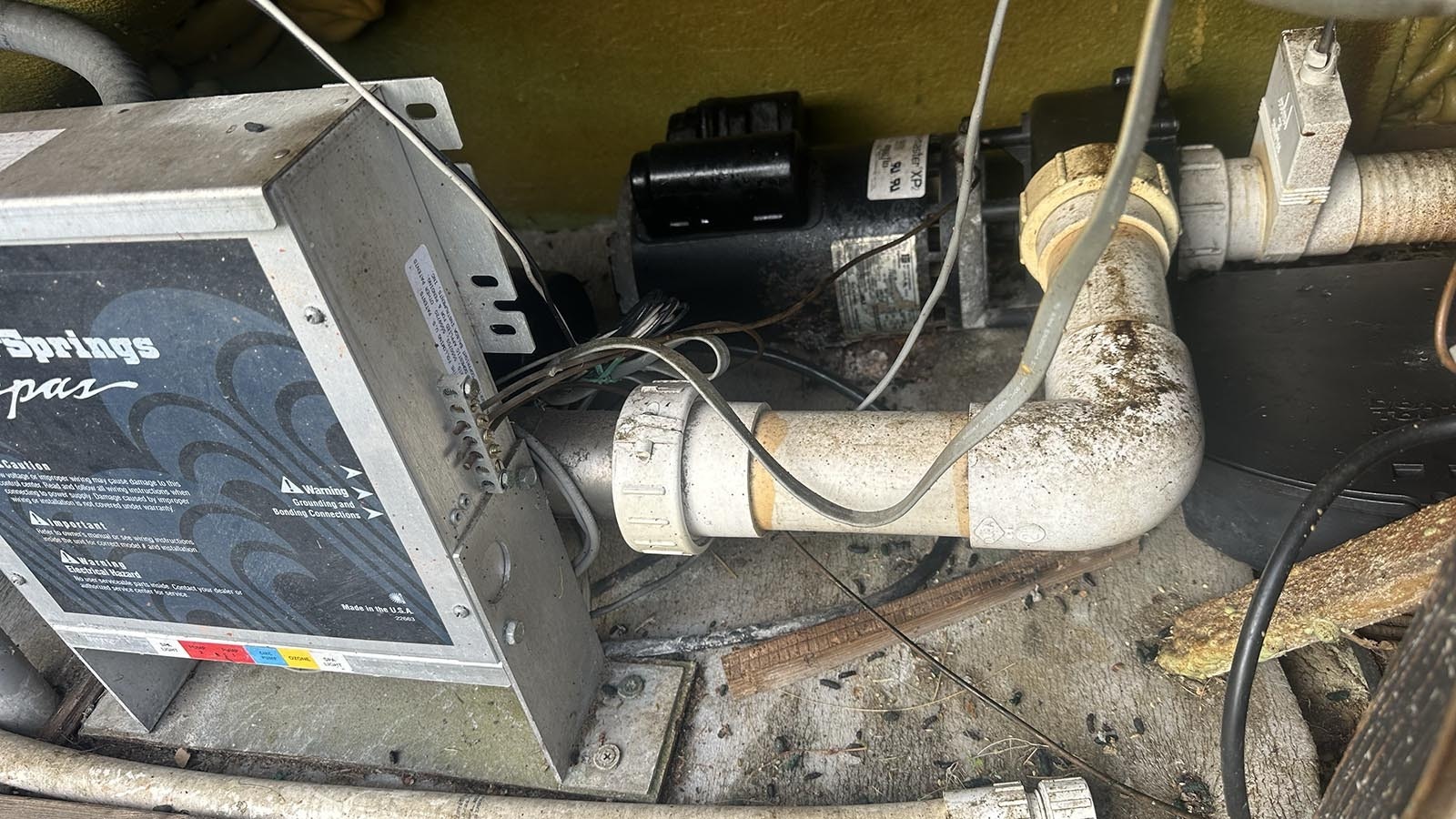 Invasive rats have damaged homes across the Boise, Idaho, area.