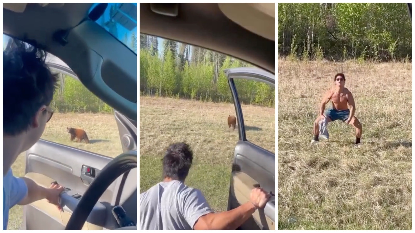 A series of images from a viral video shows a man get out of his vehicle when he spots a bear, then he yells at it as he charges the bear. The bewildered bruin ambles off into the brush, then the man celebrates.