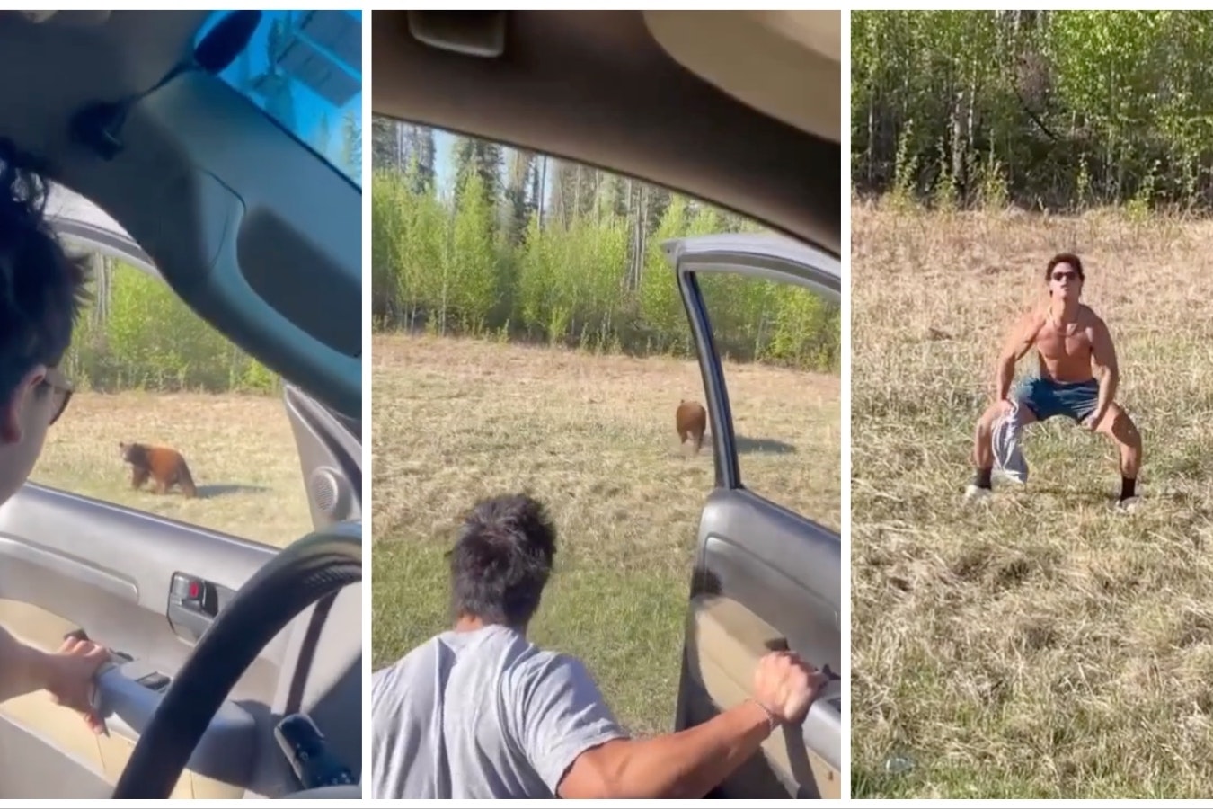A series of images from a viral video shows a man get out of his vehicle when he spots a bear, then he yells at it as he charges the bear. The bewildered bruin ambles off into the brush, then the man celebrates.