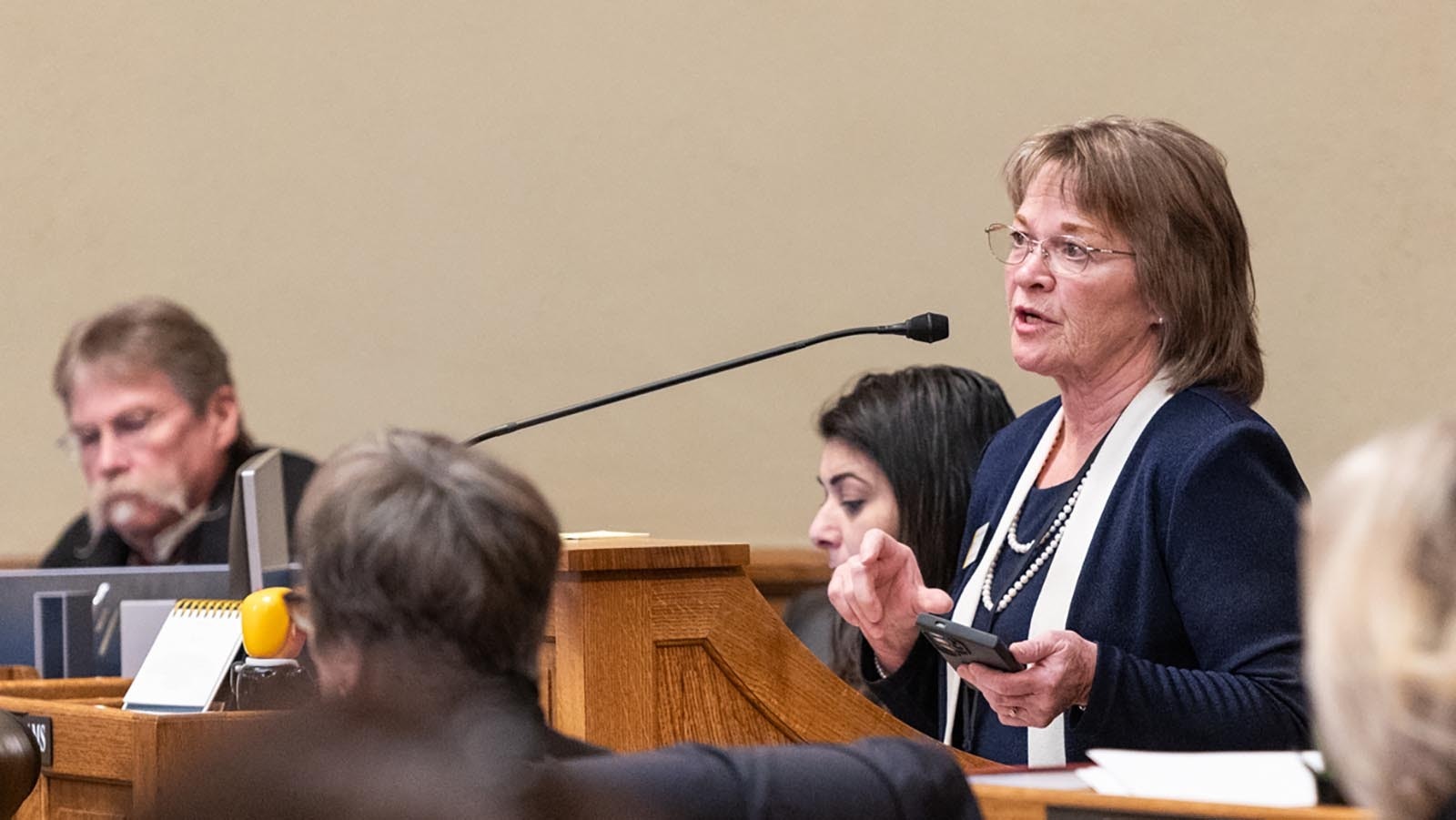 Rep. Pepper Ottman, R-Riverton, sponsored House Bill 116, which would ban illegal imigrants from driving in Wyoming, even if they have a valid license from another state.