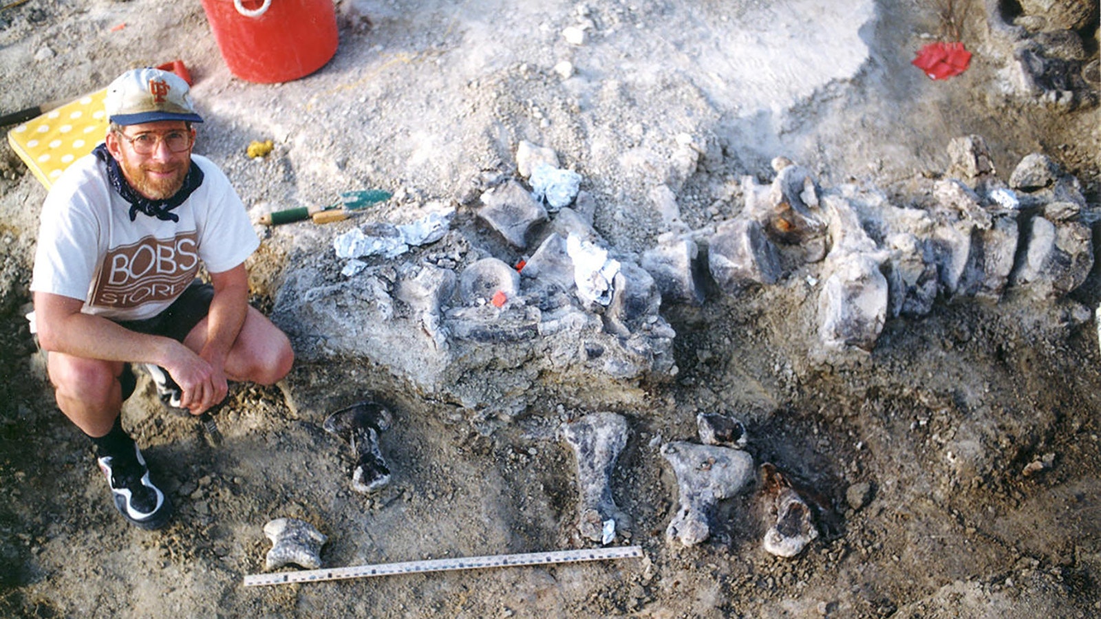 In 1998 an expedition crew from the University of Kansas discovered a large fossilized brachiosaur foot in the Black Hills region of Wyoming Courtesy of KUVP archives
