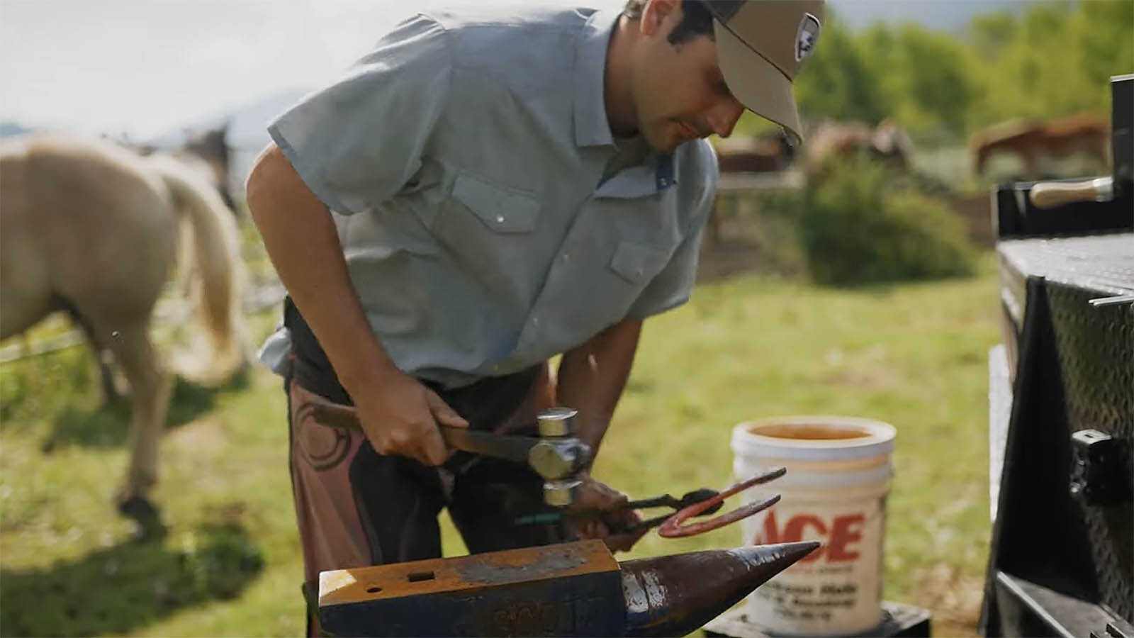 Paul Angiolillo got his start as a farrier.