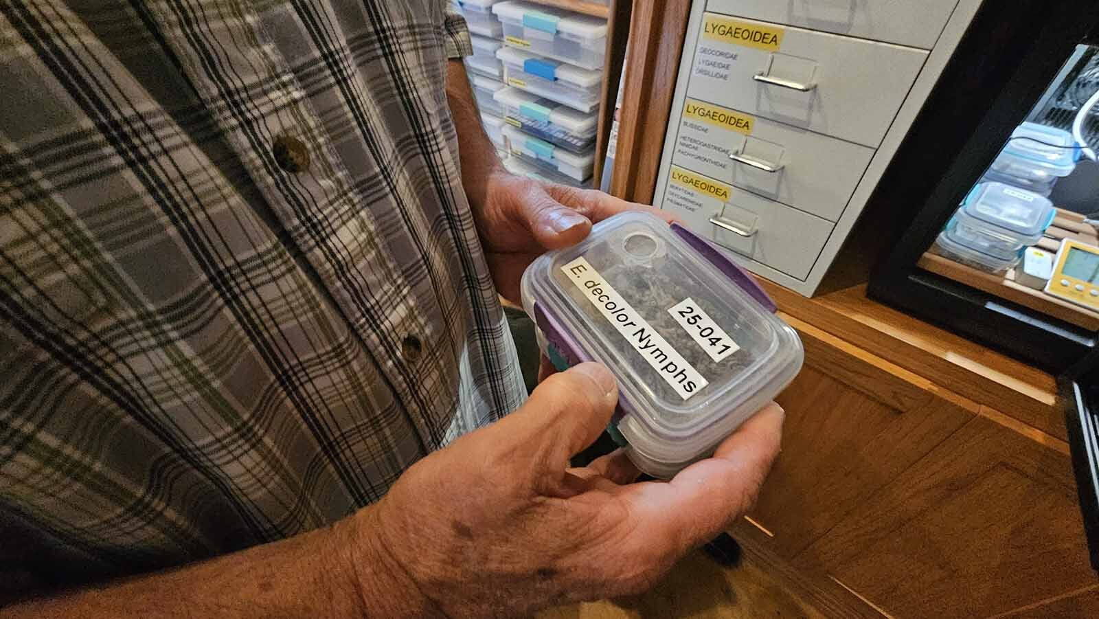 Wyoming’s Insect Cowboy Has Discovered New Bugs That Are In The ...