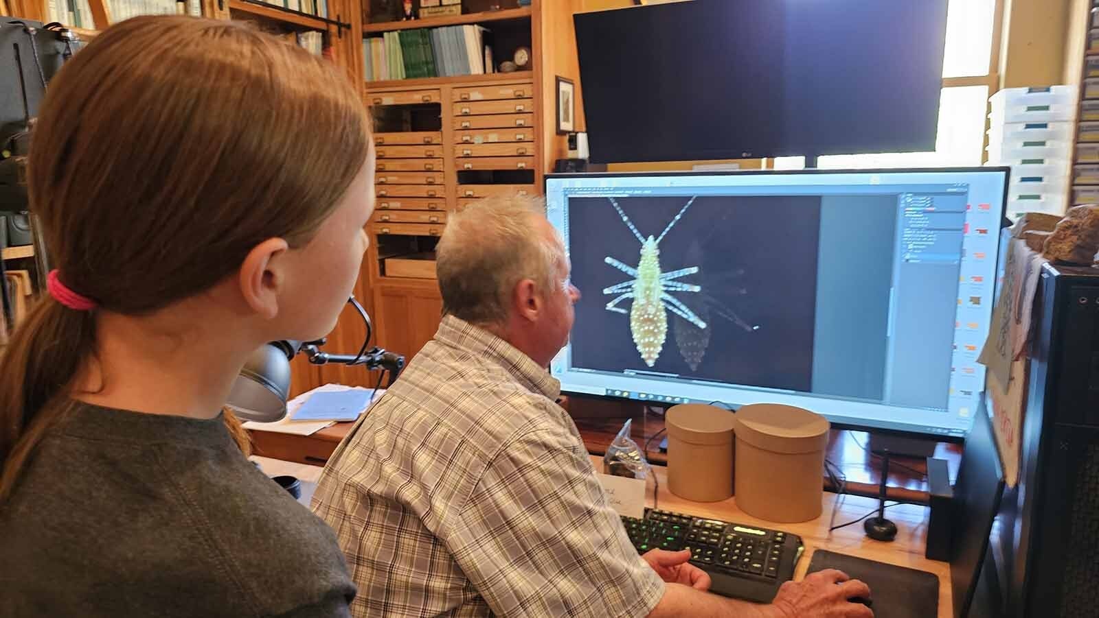 The creature on the screen is called Hoplinus echinatus. An appropriate name, given that Allie Hazen, left, found the bug "scampering" through the leaves. Aaron Clark, foreground, helped Hazen learn how to prepare her bugs scientifically, and this particular specimen is being sent to the Smithsonian for its collection.