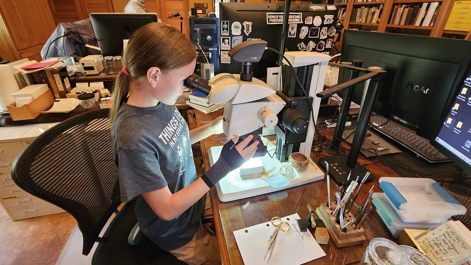 Allie Hazen adjusts a micorscope so she can look at some insects closeup.