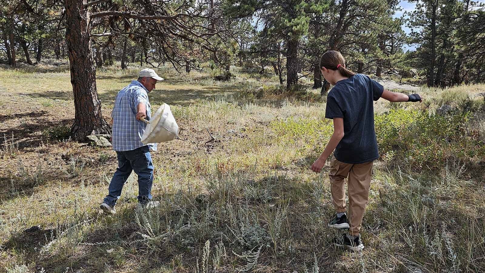 Searching for insects doesn't typically involve ropes, but it does require skill.