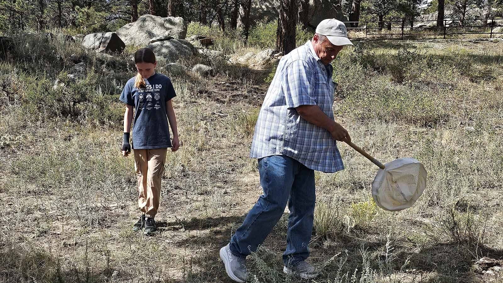 Sweeping plants of insects is something Clark will do all year long. Even in winter, he still goes out to check cavities and other places where he knows he might find hibernating or overwintering insects.