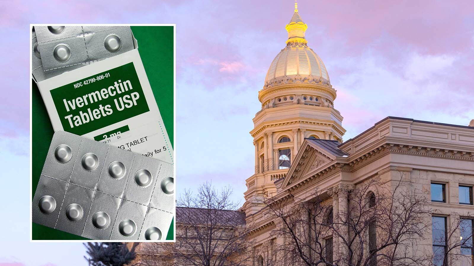 A Wyoming House Representative from Cheyenne unveiled a bill this month that, if it becomes law, would let people get the ivermectin without a prescription. The Legislature may hear the bill in three weeks.