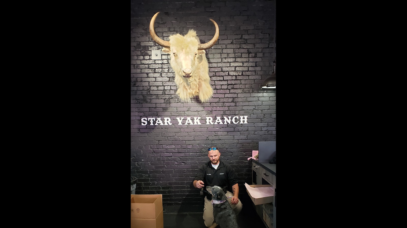 Wade Wohl is the Star Yak Ranch manager.