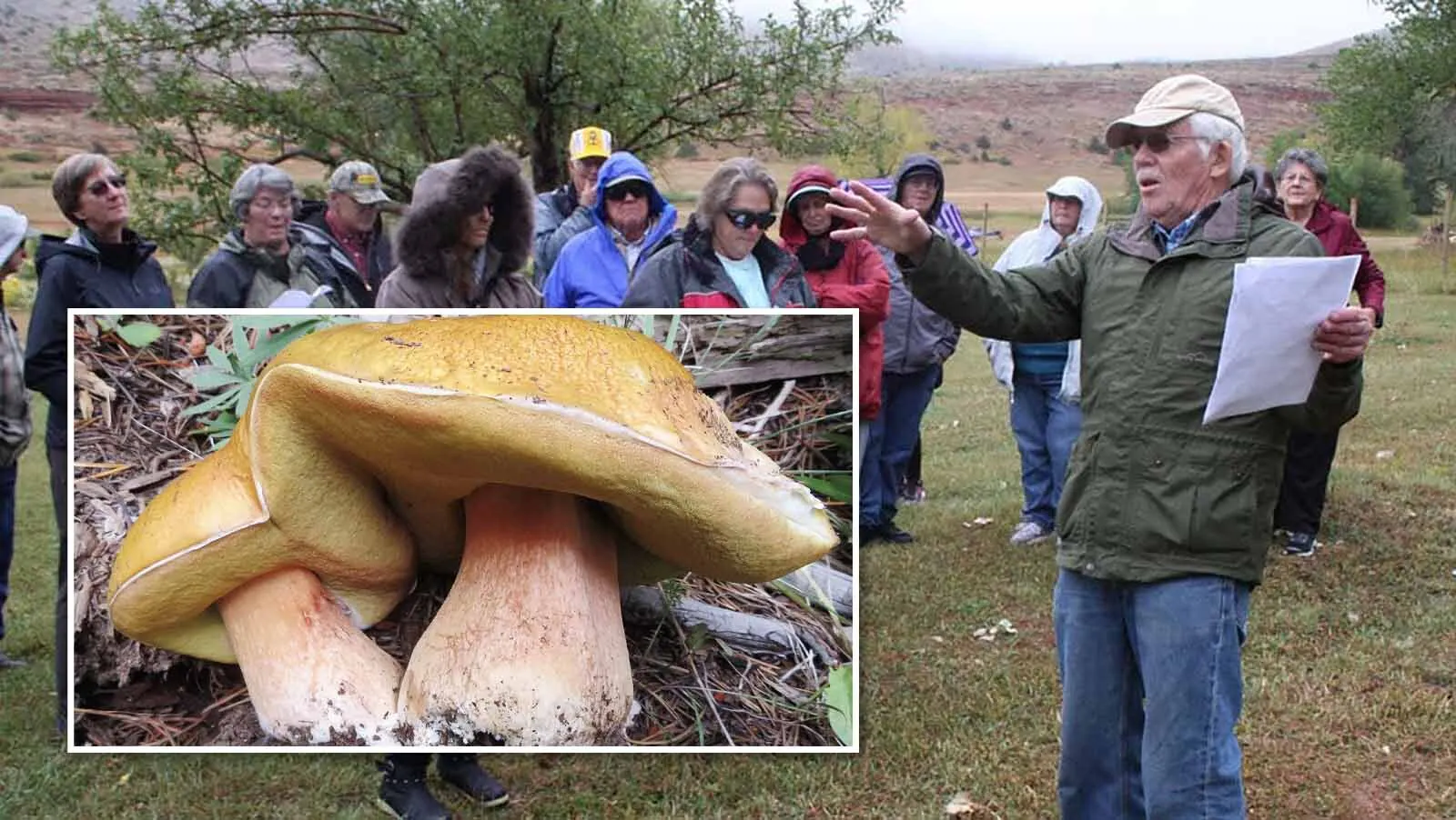 A “ridiculous" project digging through rabbit poop led Jack States — aka Lander's Mushroom Man — to discover a famous mold and 12 new species of truffles. His research has changed how scientists view wildlife diseases and has reshaped forest management.
