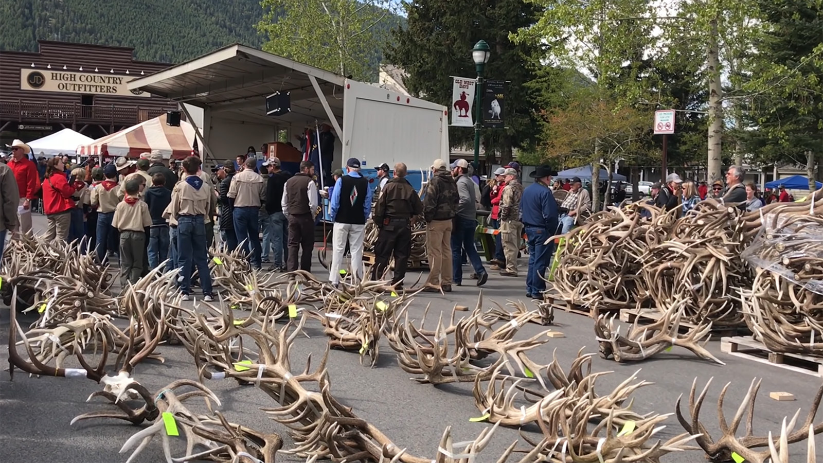The annual Elk Fest in Jackson Hole features a shed antler auction for what area Boy Scouts collect from the National Wildlife Refuge. The auction typically brings in about $280,000, of which 25% goes to western Wyoming Scout troops.