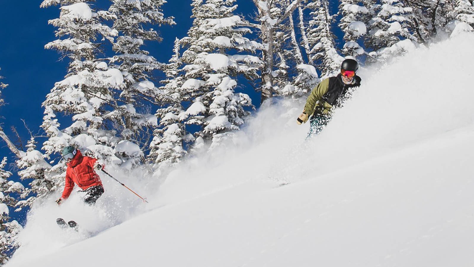 Skiers enjoy the powder at Jackson Hole Mountain Resort in this file photo.