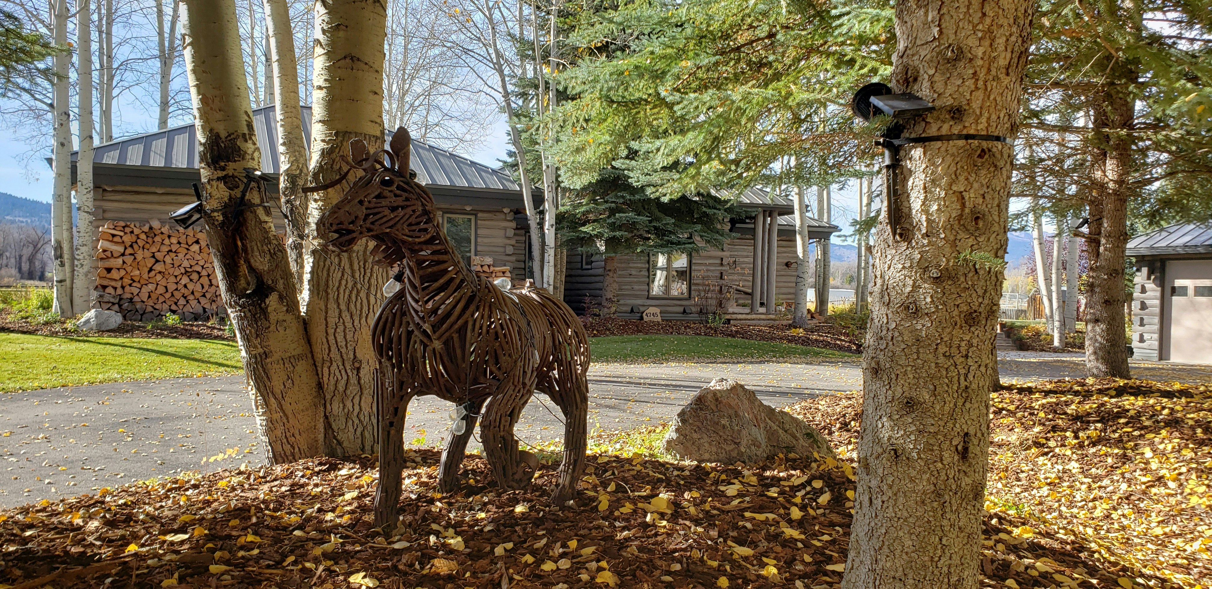 An iron horse sculpture greets visitors to the Western Star Ranch, a nod to its commitment to horse culture.