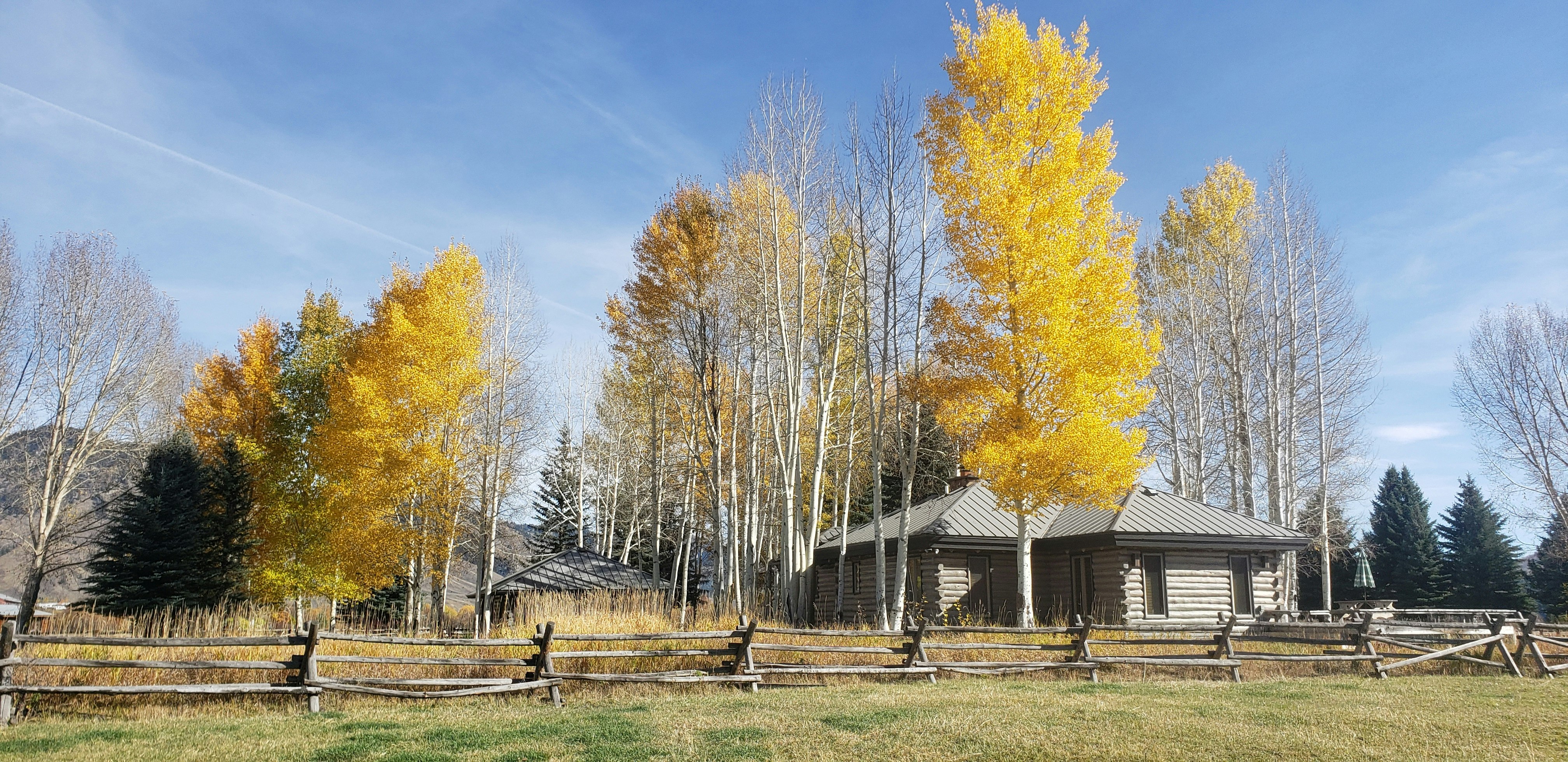 Jackson Ranch Aspens frames the scene in gold at Western Star Ranch which includes an 8-acre pasture and barn track plus a heated three-car garage and dog run 10 21 23
