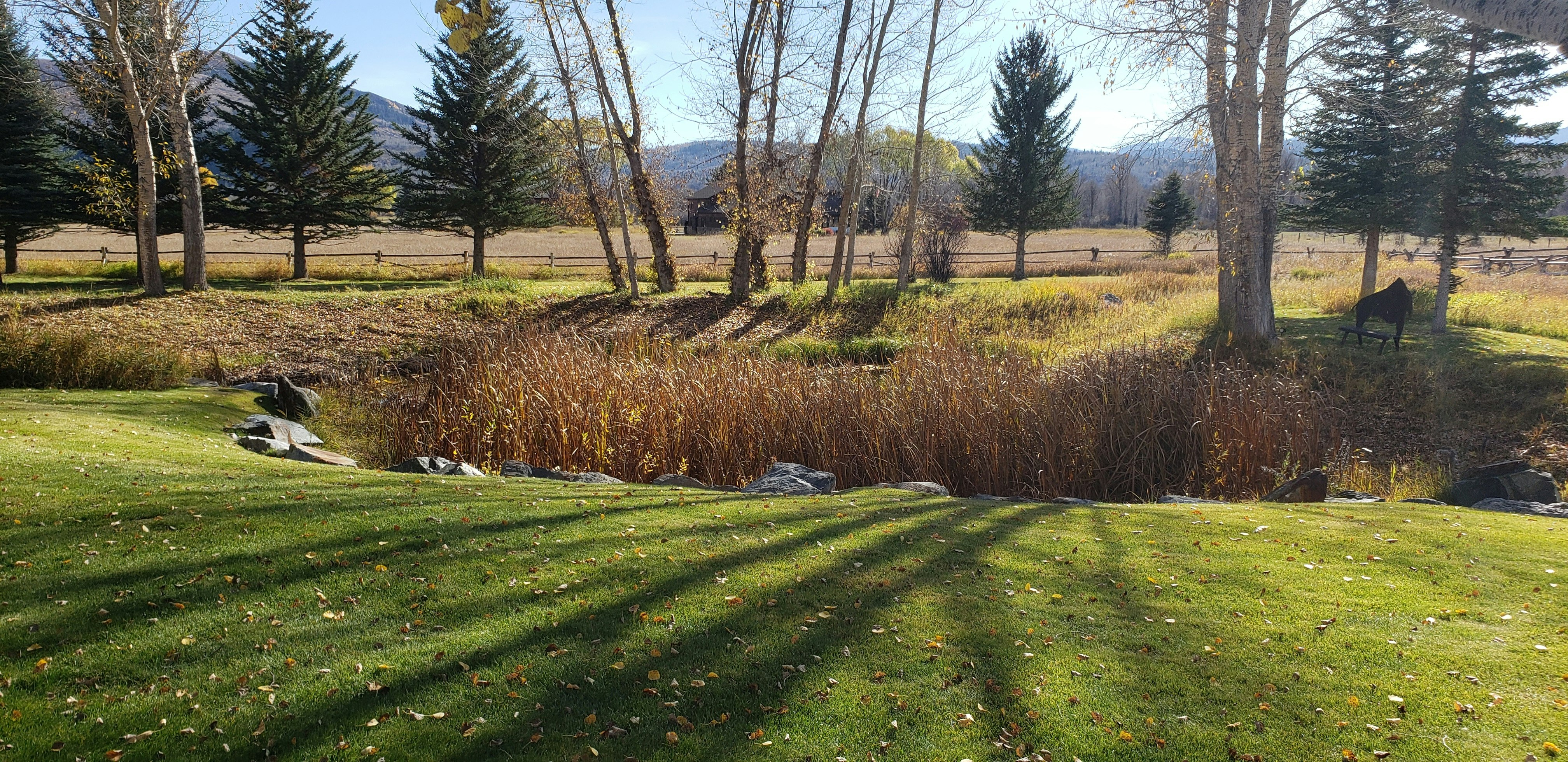 The pond has beautiful flowers in the summer, and golden brown grasses and grasses in the fall.
