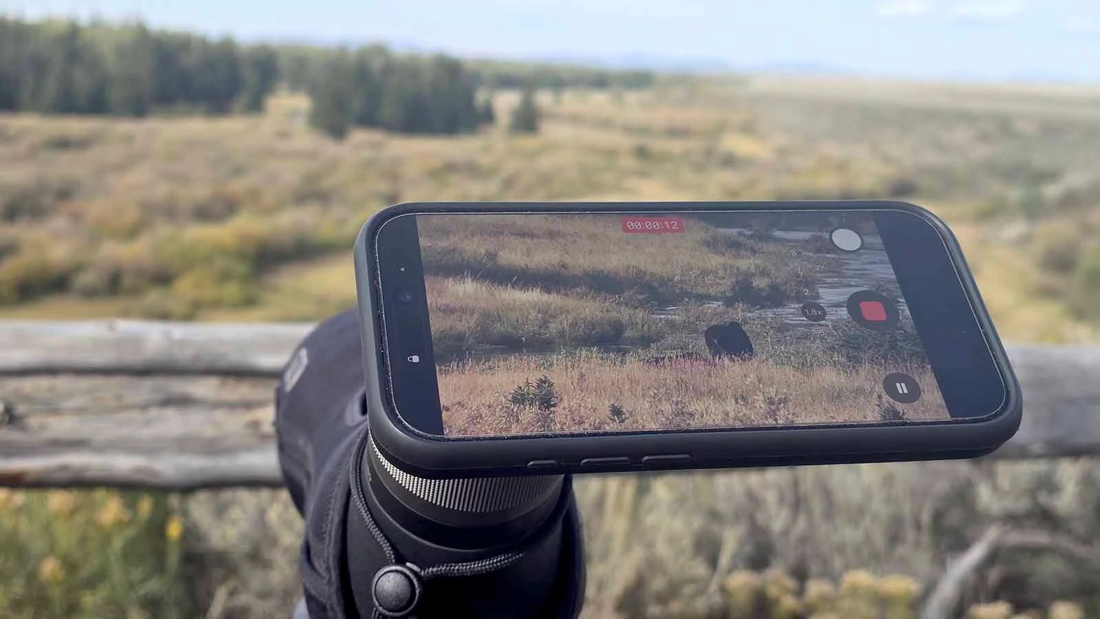 The moose in this spotting scope is far away, but can be seen with binoculars or a spotting scope.
