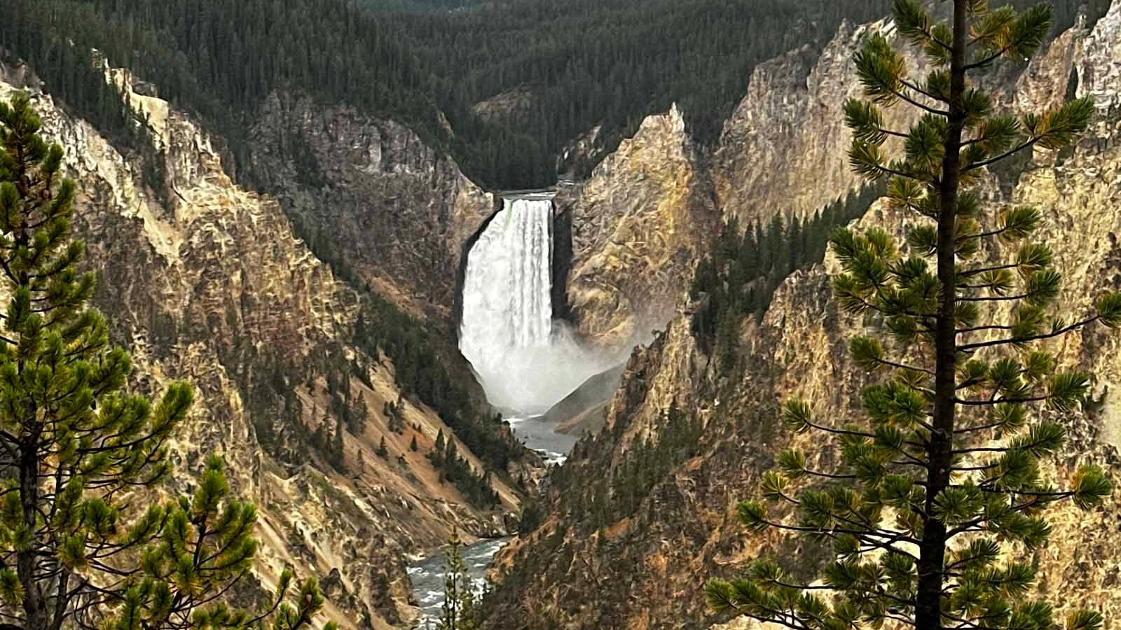 Many out-of-state visitors to Jackson Hole expect a Western experience, but aren't prepared for how Wyoming operates on its own level and swagger.