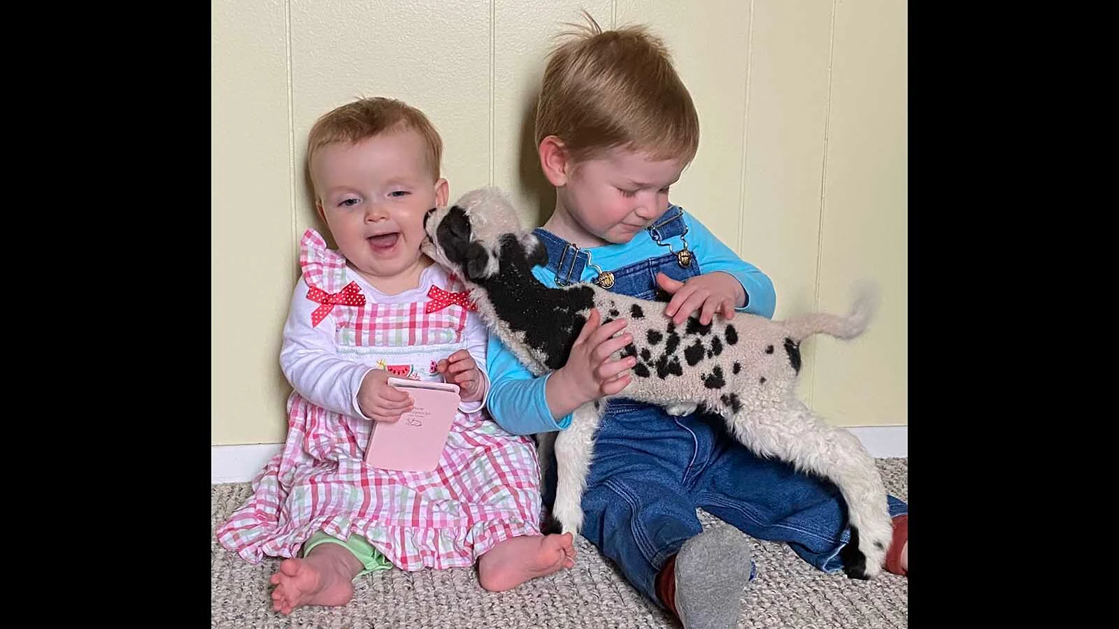 Timothy Barkman, a fourth-generation Wyoming farmer, says raising the rare heritage sheep has become a family affair, with his young son already helping feed animals and collect eggs.