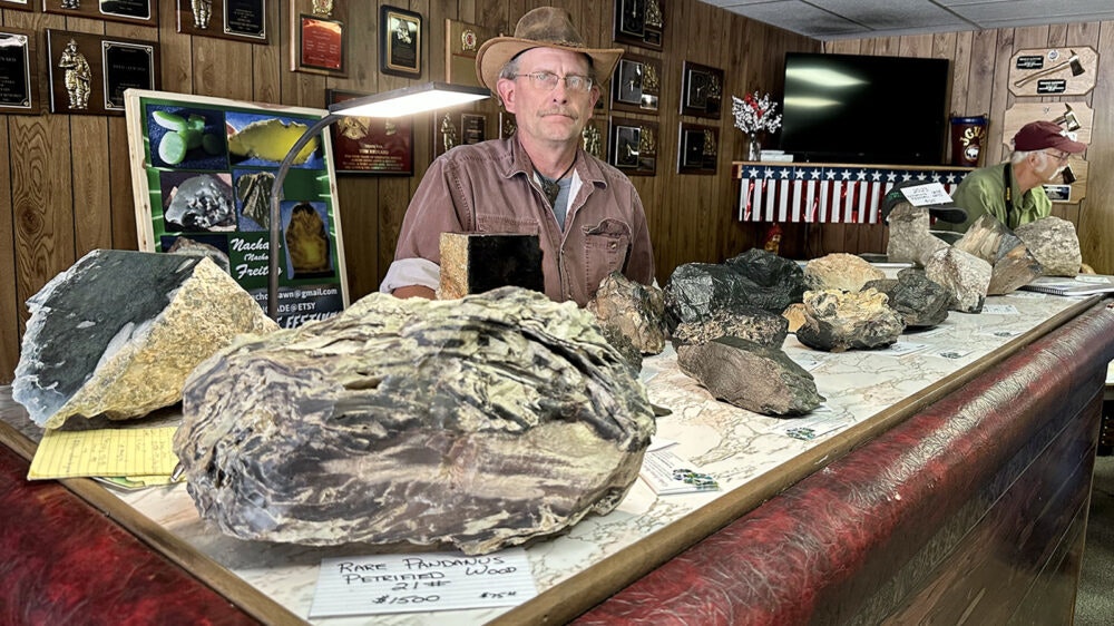 Dave Freitag with a collection of uncut and unhammered Wyoming jade. All the Wyoming jade collectors and artisans at the Wyoming Jade Festival find their own pieces, although those as large as these are rare after the collecting boom of the 1930s.