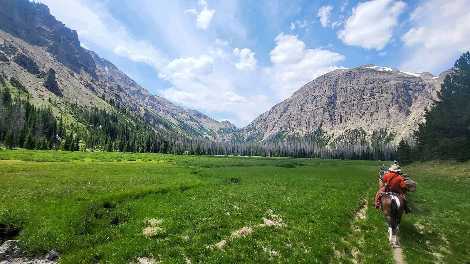 A view of the Simpson Meadows on Marston Creek below the Buffalo Plateau during the Jaggar Rephotography pack trip in August 2024.