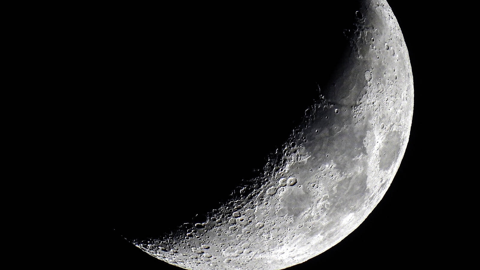 One of a series of detailed photos Jan Curtis got of the moon.