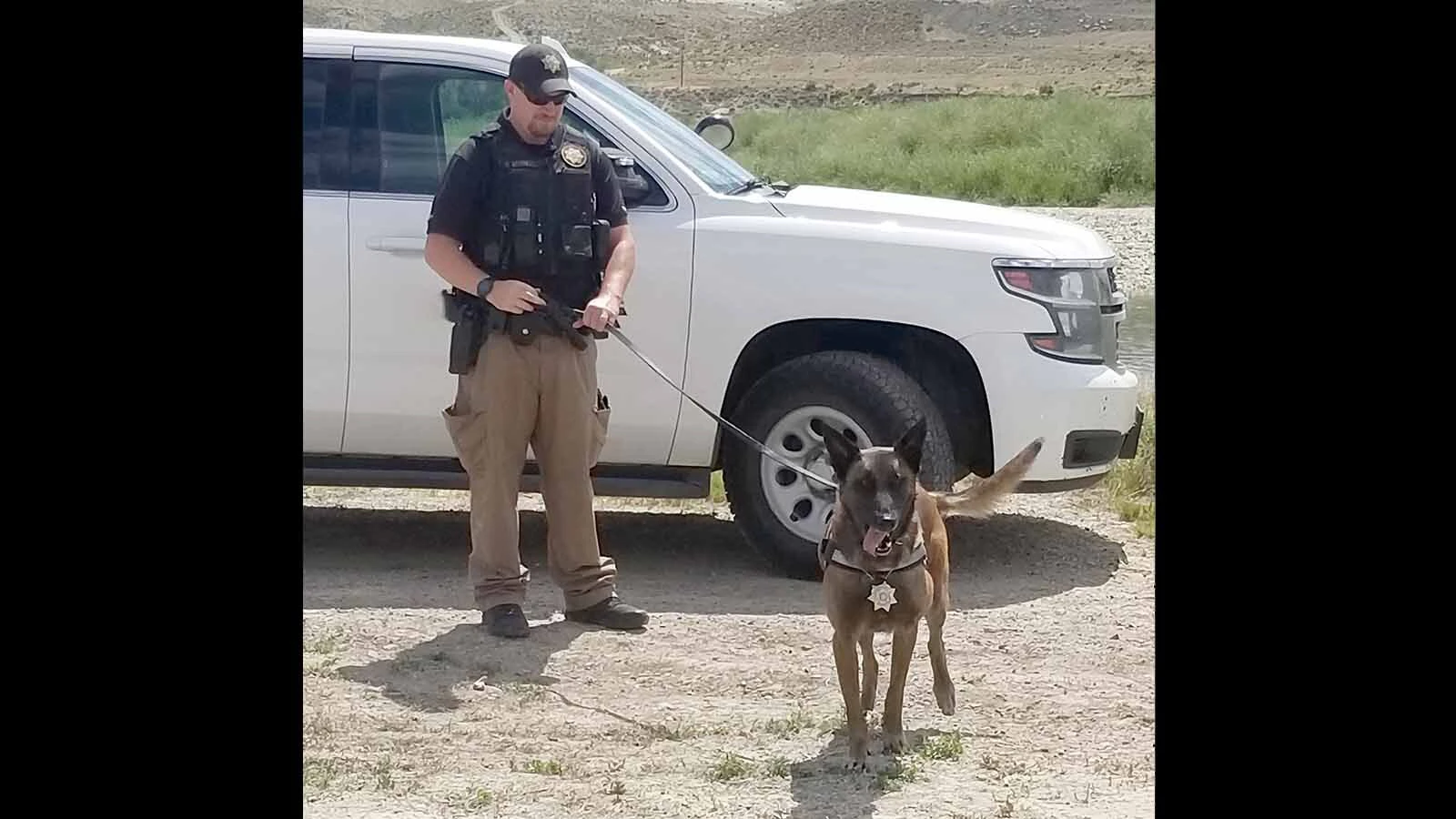 When the Sweetwater County Sheriff Office considered putting K-9 Jara’s name on her special sheriff unit, they were told there had been a hit ordered on Jara. So rather than advertise what unit the dog was in, the idea was scrapped. She retired in 2023 and passed away in April 2026.