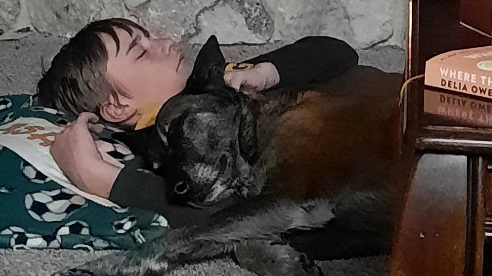 Lt. Derek Morrell described Jara as a dog first, and then a working member of the sheriff’s department. When not working her beat, Jara was a cuddly family dog who Morrell’s kids adored and grew up with.