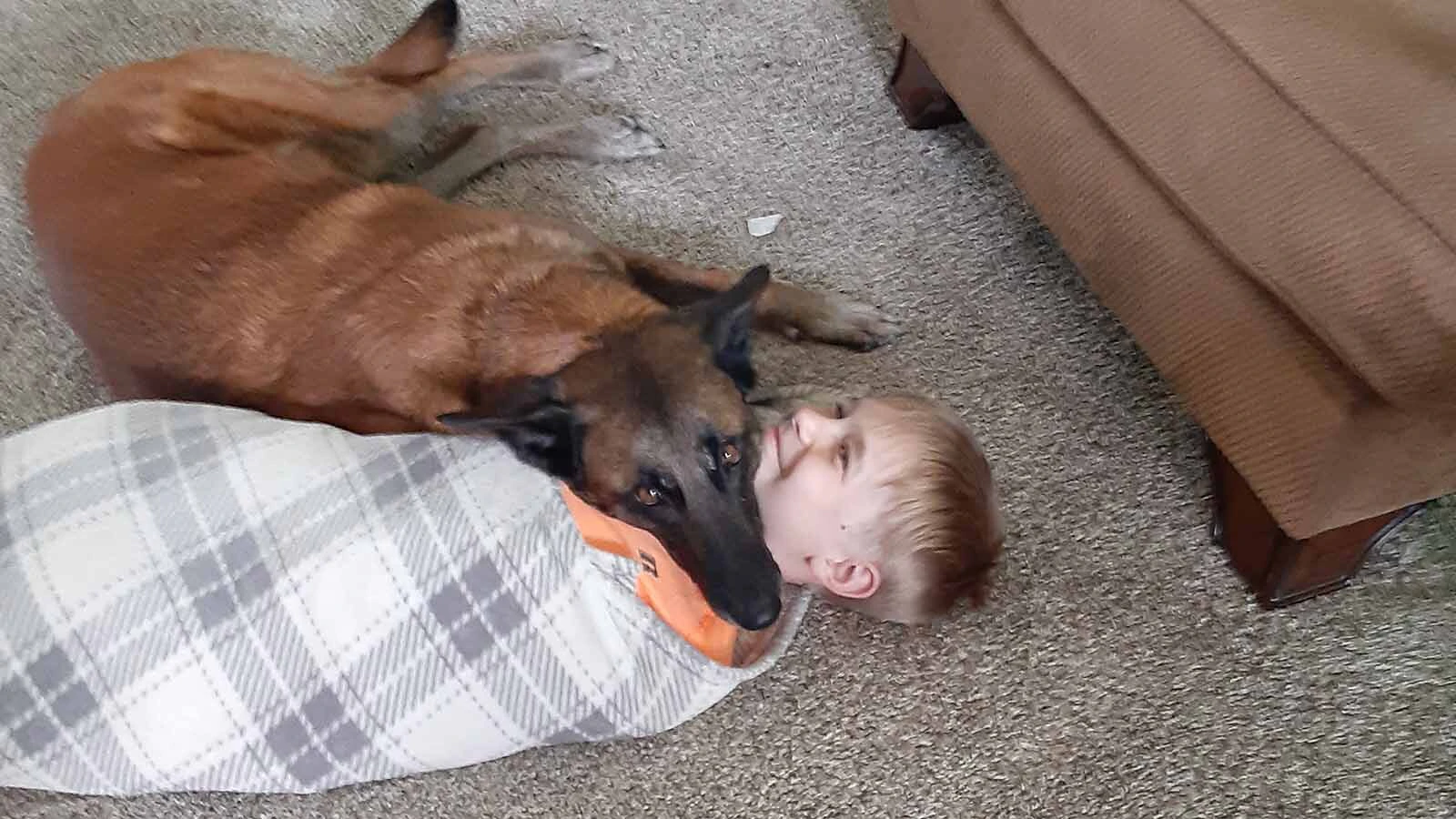 Lt. Derek Morrell described Jara as a dog first, and then a working member of the sheriff’s department. When not working her beat, Jara was a cuddly family dog who Morrell’s kids adored and grew up with.