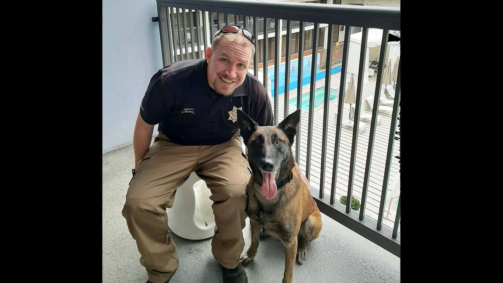For her many rescues and colorful law career, K-9 Jara was awarded with a trip to the "Dr. Phil" show to appear on the segment, Behind the Badge. She was given her own seat on the plane and received star treatment.