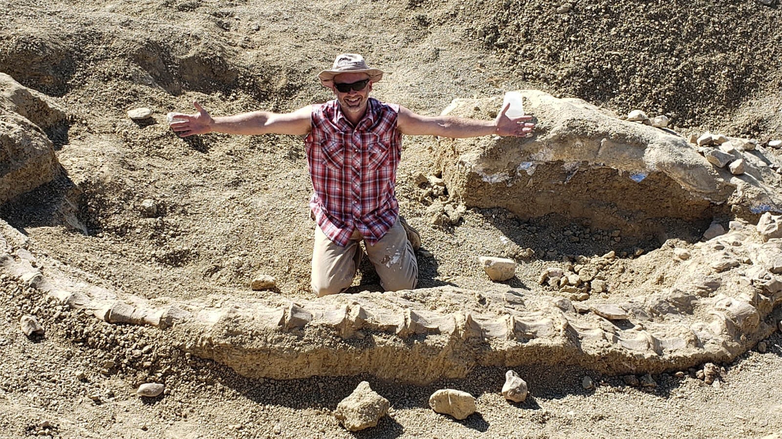 Paleontologist Jason Schein, executive director of Elevation Science Institute, shows off the articulated tail of a 150-million-year-old long-necked sauropod from the Late Jurassic Period. The tail is among thousands of other dinosaur bones found in the Anderson Site on the Montana side of the Bighorn Basin near Bridger, Montana.