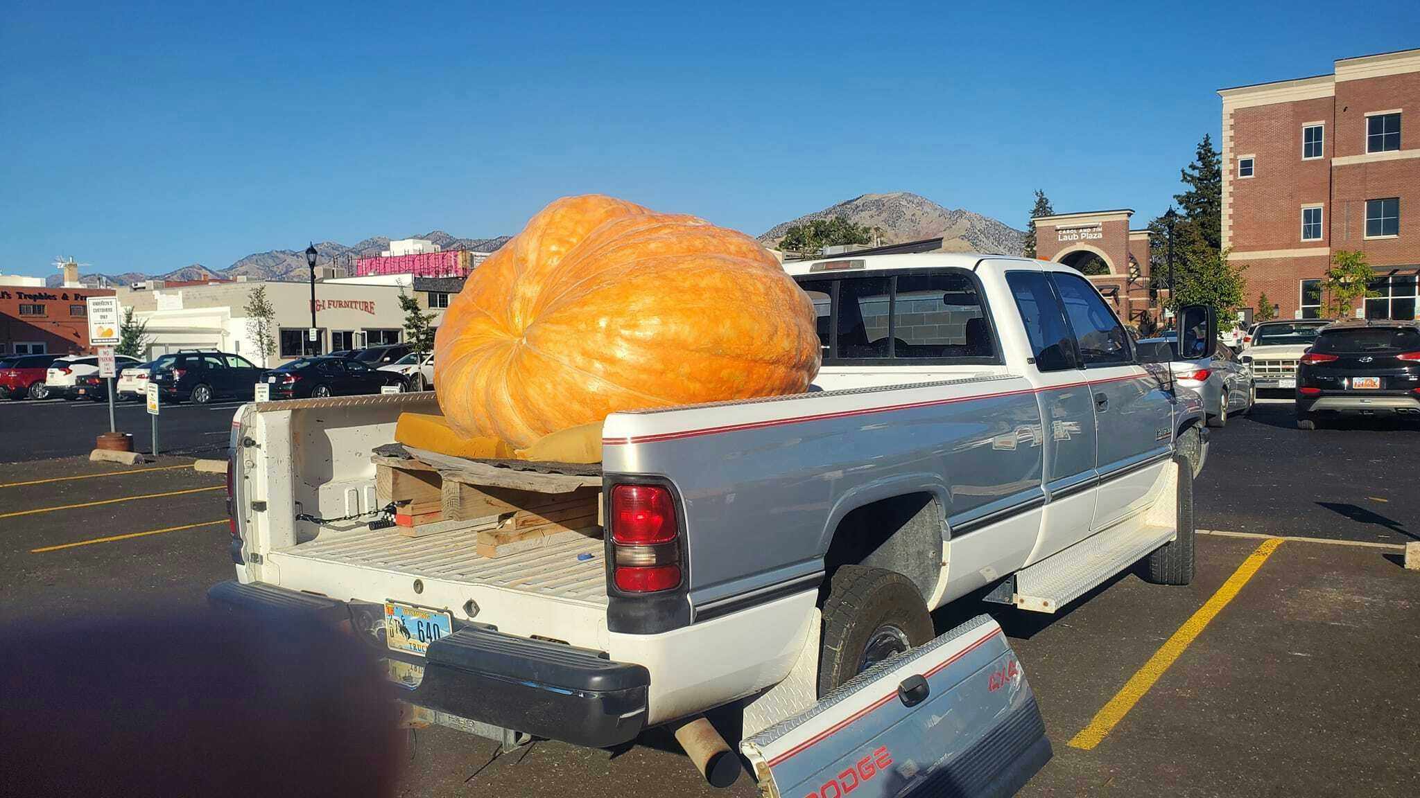 One of Jay Richard's 2014 competition pumkins named Jan is reach to be weighed in Utah this weekend. Next weekend, Jan will be dropped from a crane and explode during the annual Wyoming Pumpkin Drop and weigh-off.