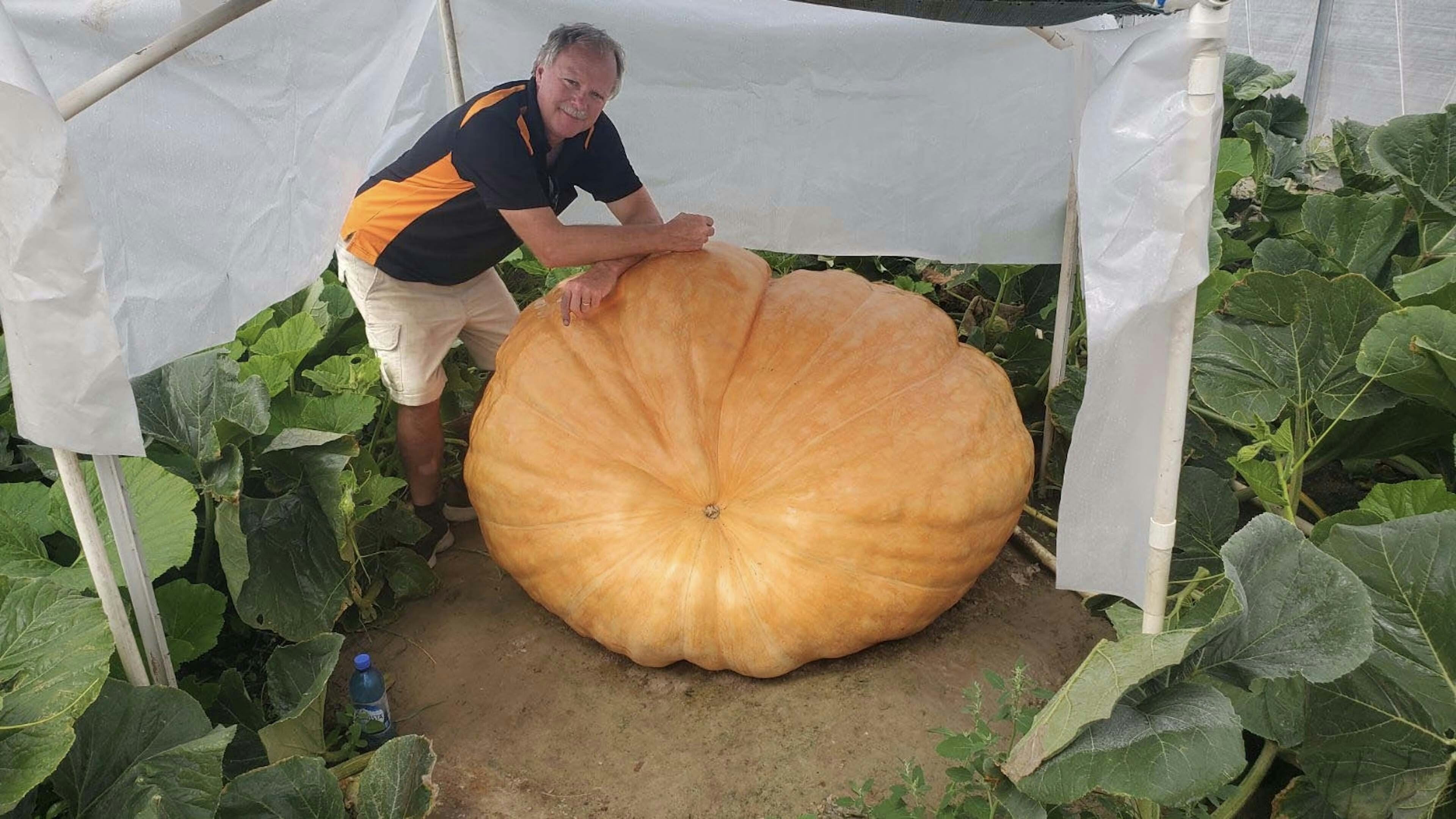 Jay Richard with one of his 2024 giant pumpkins.