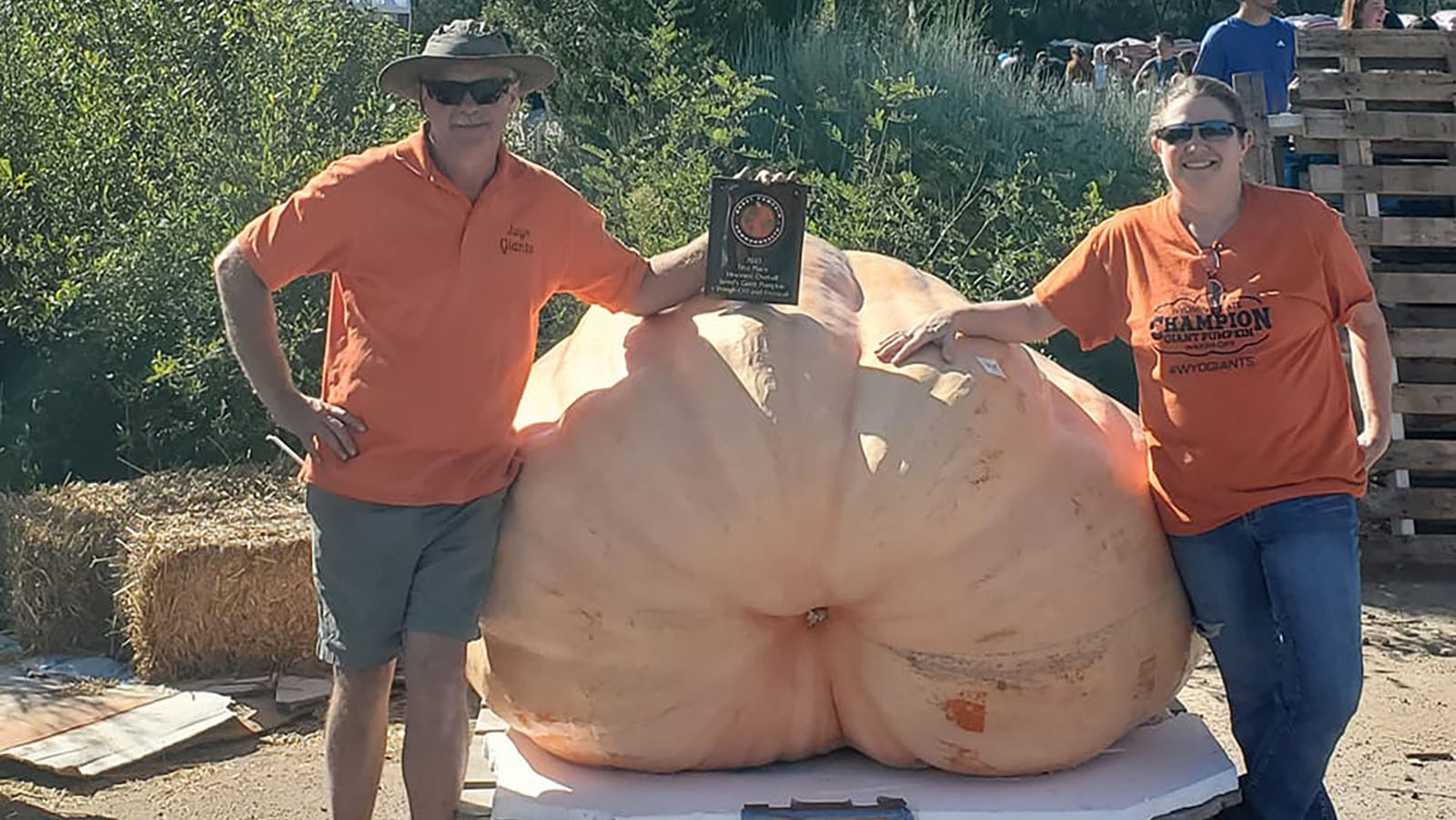 Jay Richard's second greenhouse-grown pumpkin "Joanie" weighed in at 1,686 pounds.