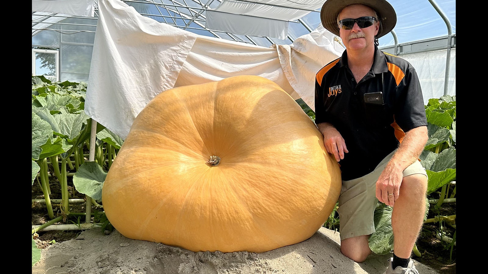 Richards kneels next to his giant pumpkin he's named "Marion Cunningham," on track to become the largest pumpkin he's ever grown. Both pumpkins are further along in their growth at this point on the calender than any others he's grown in the past.