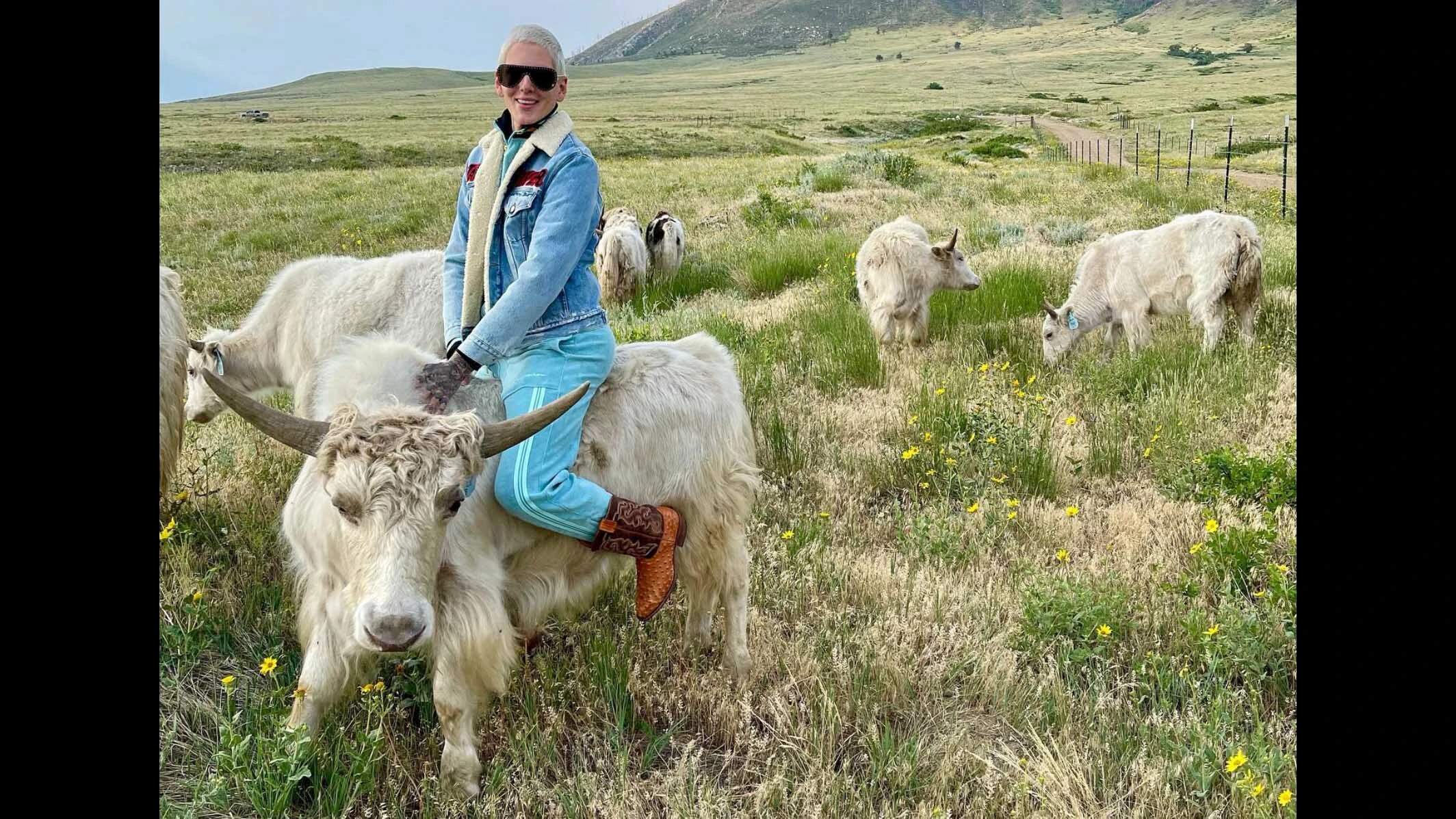 Social media personality, entrepreneur and "makeup mogul" Jeffree Star of Casper is mourning the death of “Buster,” a 7-year-old male yak that he says "wasn't just a yak." Buster died June 25 after being struck by lightning on the Star Yak Ranch.