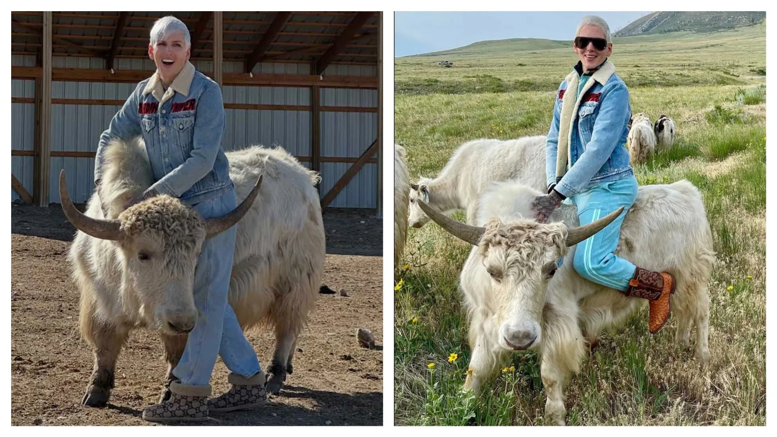 Social media personality, entrepreneur and "makeup mogul" Jeffree Star of Casper is mourning the death of “Buster,” a 7-year-old male yak that he says "wasn't just a yak." Buster died June 25 after being struck by lightning on the Star Yak Ranch.