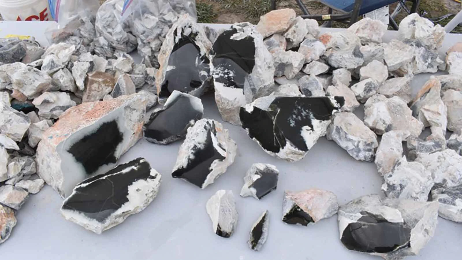 Rough and partially polished jade from near Jeffrey City, Wyoming.