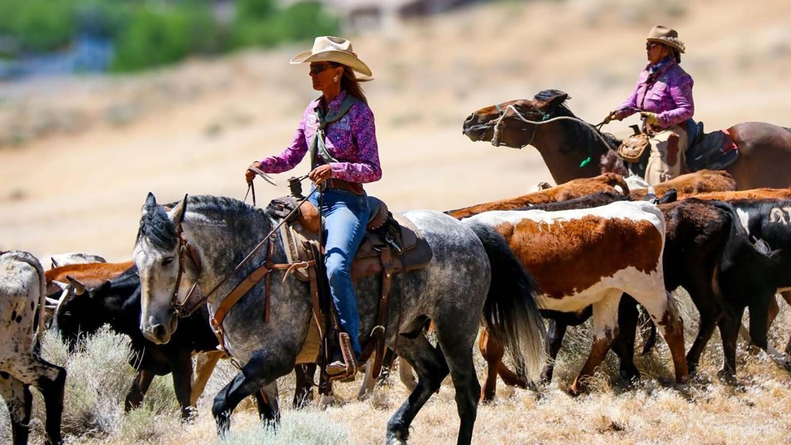 Jenny Lesieutre, president of Rangelands, Wildlife and Wild Horses LLC, rides a curly-haired mustang she adopted from a herd in Nevada.